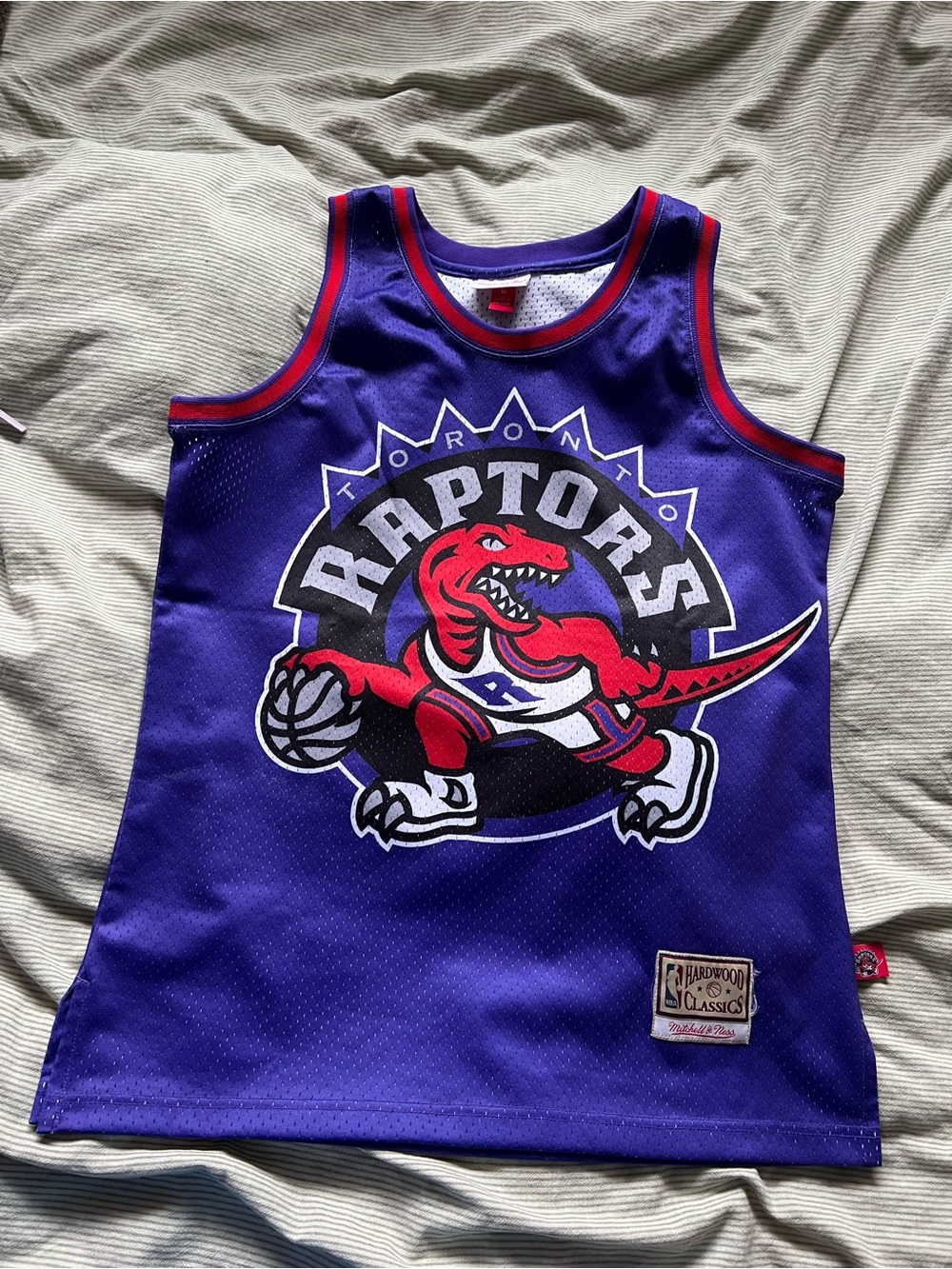 Toronto Raptors Mitchell & Ness Purple Jersey